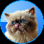 Mr Miggles icon